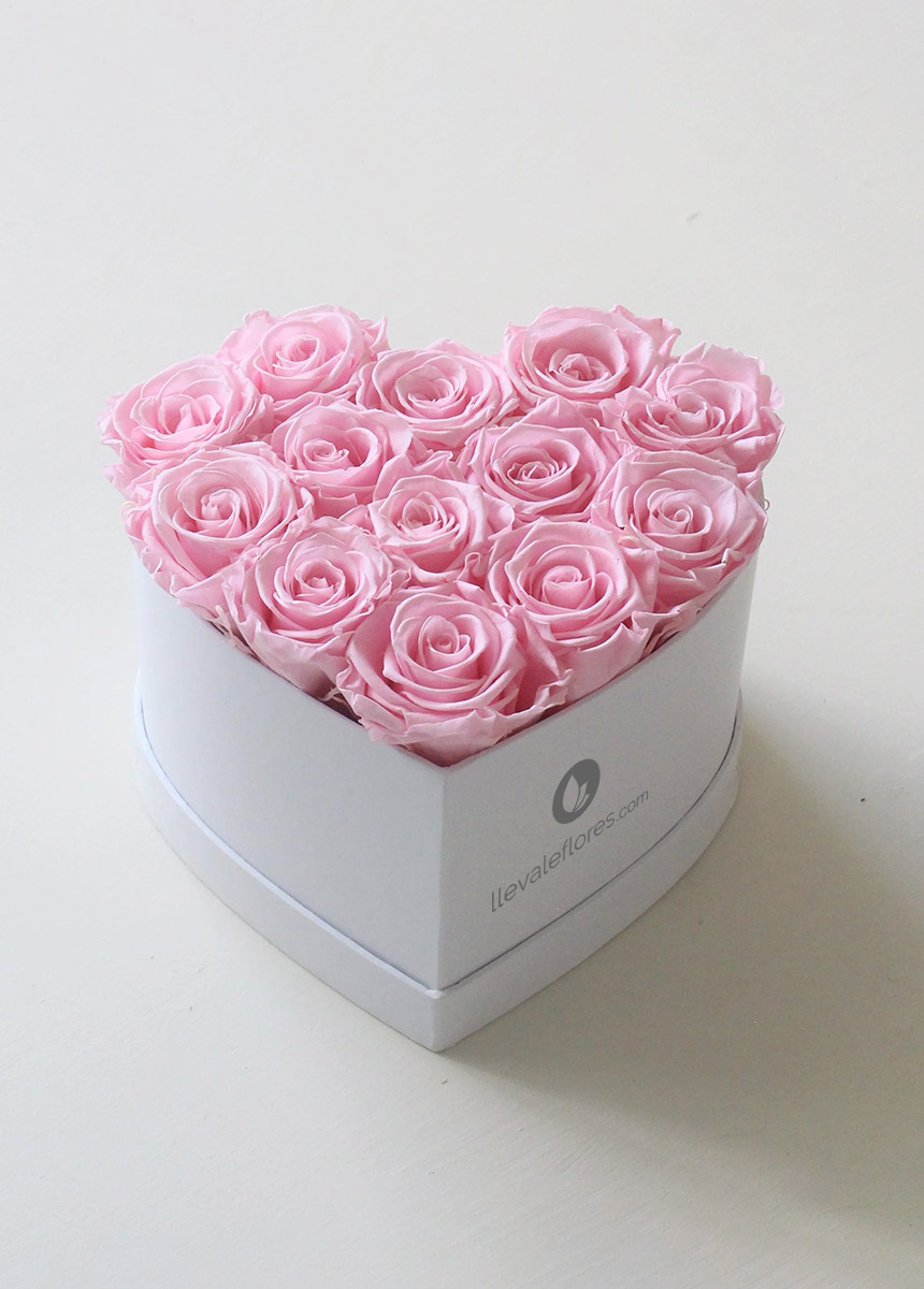 Rosita | 24 rosas rosa