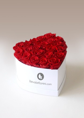 Romántico | 24 Rosas