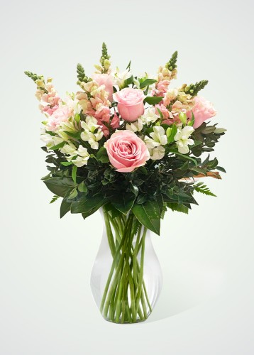 Joy | 12 Rosas